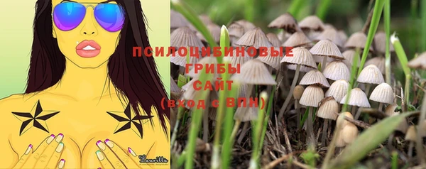 круглые Армянск