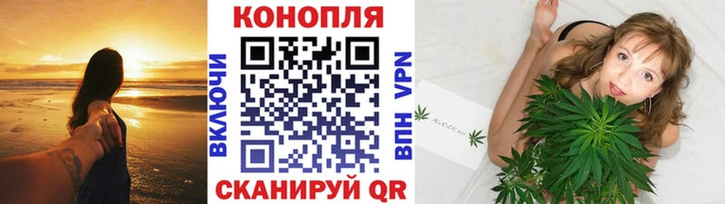 Бошки Шишки гибрид Ростов